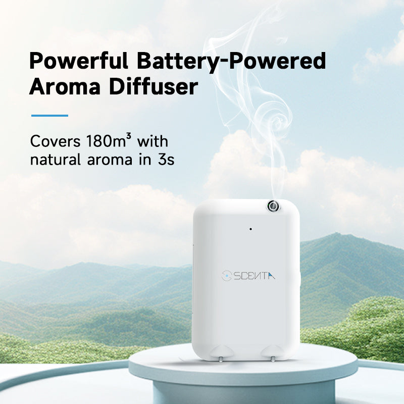 Aromatherapy Machine 2030 Global Future Market