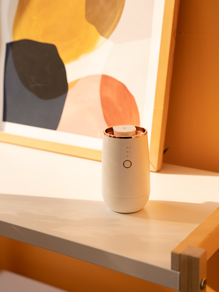 Guangdong Scenta Aroma Waterless Diffuser Manufacturer in China