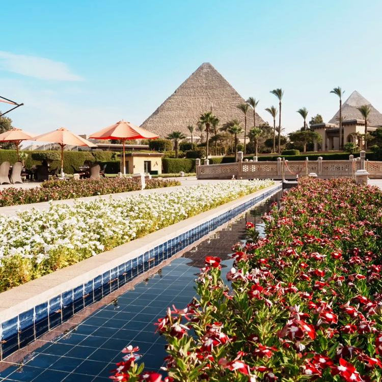 Nile Garden Essentail Oil