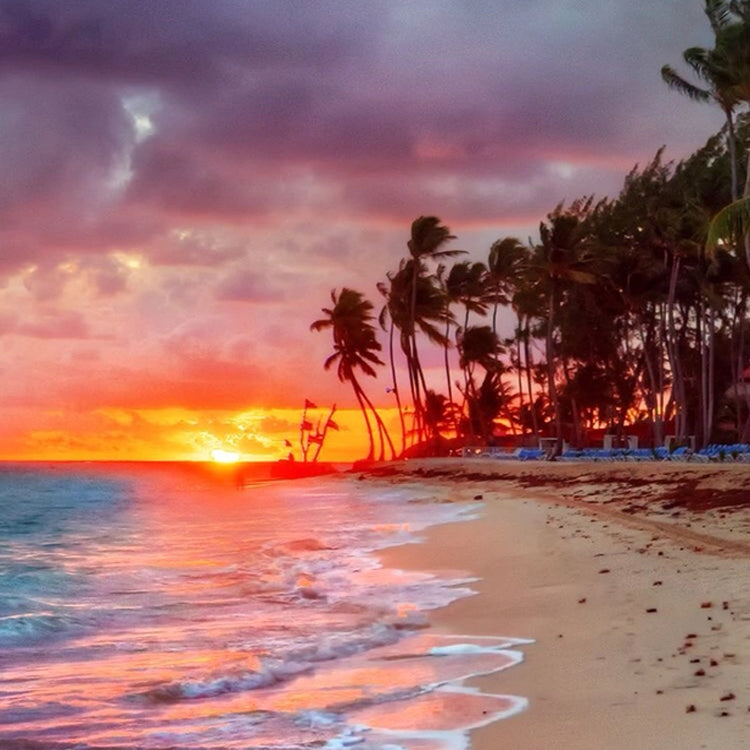 Sunset Coast Essentail Oil